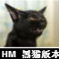 访问设计美工主站
